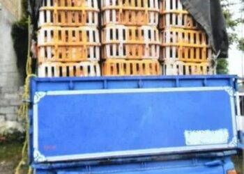 توقیف مرغ‌های فاقد مجوز در تالش