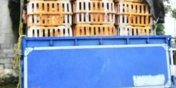 توقیف مرغ‌های فاقد مجوز در تالش