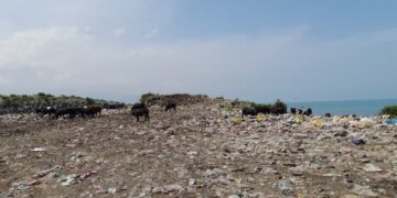 ۲ شهردار و سه دهیار در تالش به دادگاه معرفی شدند