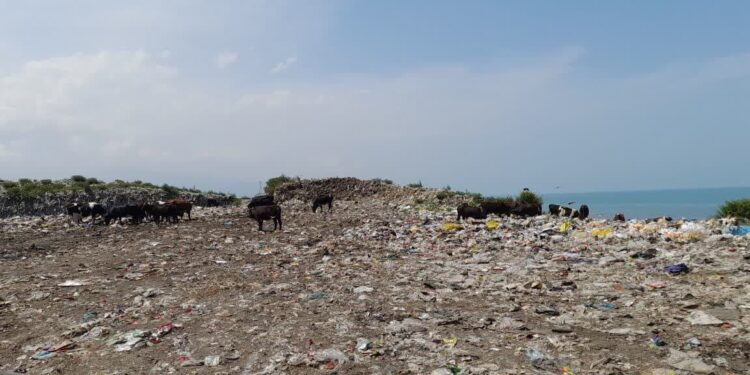 ۲ شهردار و سه دهیار در تالش به دادگاه معرفی شدند