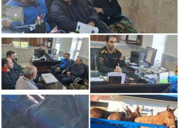 کشف و ضبط چوب آلات قاچاق در بخش حویق و چوبر