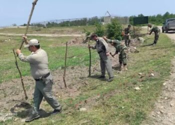  رفع تصرف ۲ هزار و ۵۰۰ مترمربع از زمین‌های ملی در تالش