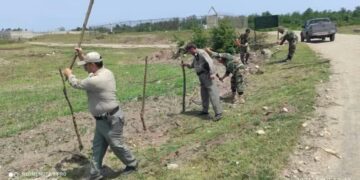  رفع تصرف ۲ هزار و ۵۰۰ مترمربع از زمین‌های ملی در تالش