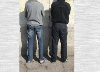 سارقان سابقه دار در تالش زمین گیر شدند