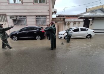 گزارش تصویری