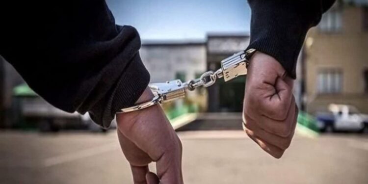 دستگیری سارقان ارز خارجی در تالش