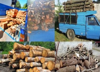 کشف 53تن چوب قاچاق در تالش   