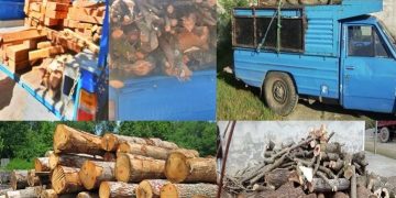 کشف 53تن چوب قاچاق در تالش   