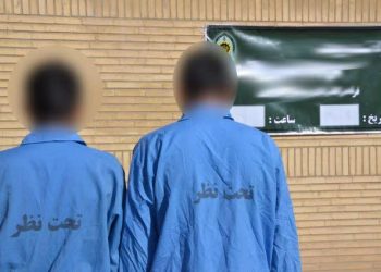 پایان کار سارقان حرفه‌ای با ۶ فقره سرقت در تالش