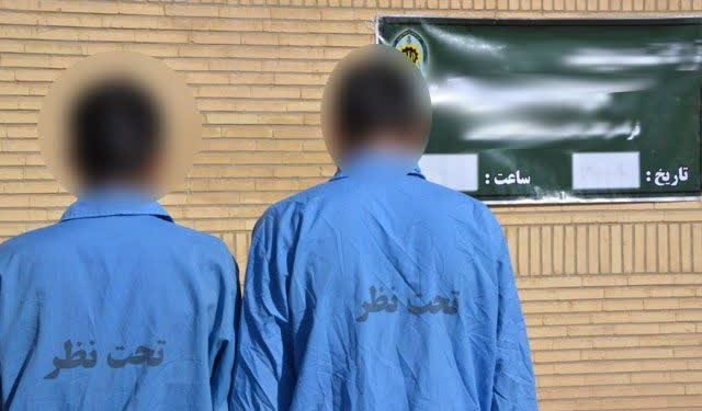 پایان کار سارقان حرفه‌ای با ۶ فقره سرقت در تالش