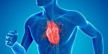 کدام ویتامین ها قلب را سالم نگه می دارد؟