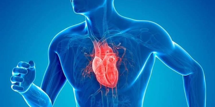 کدام ویتامین ها قلب را سالم نگه می دارد؟