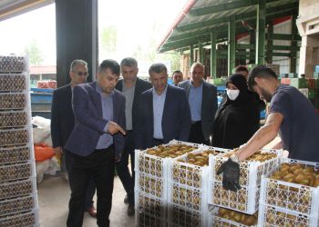 فرماندار تالش: سردخانه‌ها و برنجکوبی‌ها موتور محرک اقتصاد این شهرستان هستند