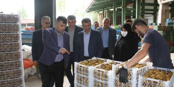 فرماندار تالش: سردخانه‌ها و برنجکوبی‌ها موتور محرک اقتصاد این شهرستان هستند