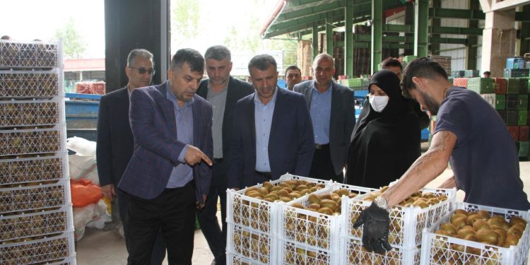 فرماندار تالش: سردخانه‌ها و برنجکوبی‌ها موتور محرک اقتصاد این شهرستان هستند