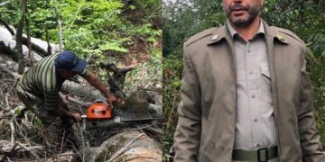 دستگیری قاچاقچی چوب در جنگل‌های لیسار با عملیات میدانی محیط‌زیست تالش