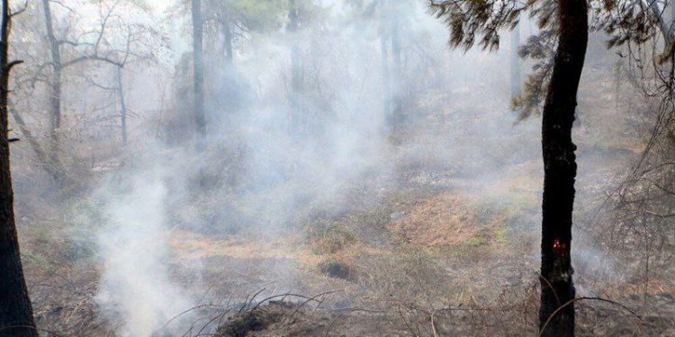 از بین رفتن ۹هکتار از جنگل های گیلان در یک هفته | در جنگل آتش روشن نکنید