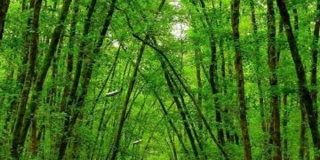 گیسوم تالش در فهرست روستاهای منتخب کشور برای ثبت جهانی گردشگری قرار گرفت