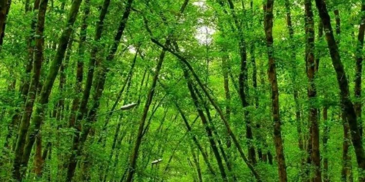 گیسوم تالش در فهرست روستاهای منتخب کشور برای ثبت جهانی گردشگری قرار گرفت