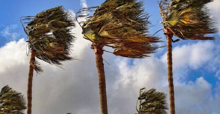 پیش‌نویس خودکار