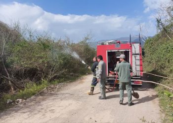 مهار آتشسوزی در منطقه لیسار تالش /۳ مظنون شناسایی و ارجاع به مراجع قضایی