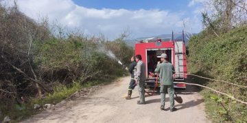 مهار آتشسوزی در منطقه لیسار تالش /۳ مظنون شناسایی و ارجاع به مراجع قضایی