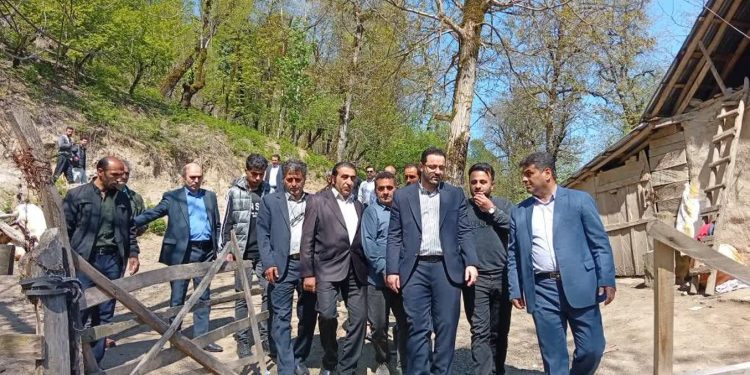 پیش‌نویس خودکار