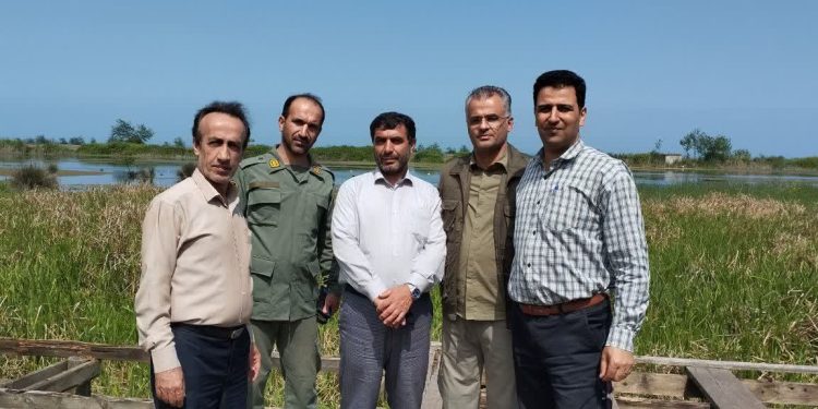 تالاب جوکندان تالش در مسیر احیا؛ همافزایی دانش بومی و برنامههای علمی برای باززندهسازی زیستبوم