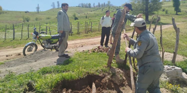 بازپس گیری یک هزار متر مربع از اراضی محافظت شده در روستای تمشه لانه شهرستان تالش