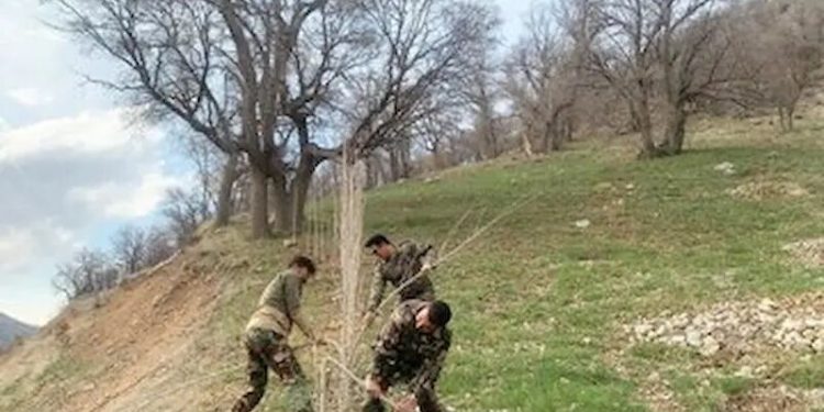 آزادسازی بیش از ۲۳۶ هزار متر مربع از اراضی ملی در تالش؛ ارزش اراضی آزاد شده بالغ بر ۱۱۸۱ میلیارد ریال است 