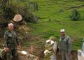 کشف چوب‌آلات قاچاق و دستگیری متخلفان در منطقه حفاظت‌شده لیسار تالش