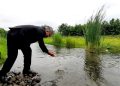رهاسازی ۱.۲ میلیون قطعه بچه‌ماهی سفید در تالش برای تقویت ذخایر آبزیان دریای خزر
