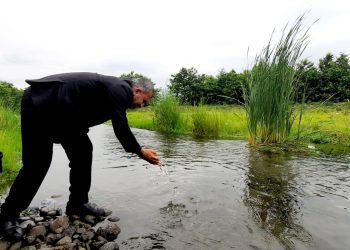 رهاسازی ۱.۲ میلیون قطعه بچه‌ماهی سفید در تالش برای تقویت ذخایر آبزیان دریای خزر