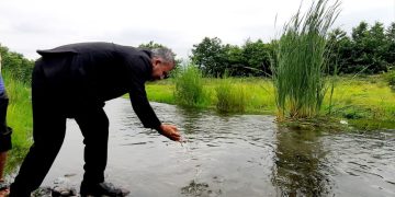 رهاسازی ۱.۲ میلیون قطعه بچه‌ماهی سفید در تالش برای تقویت ذخایر آبزیان دریای خزر