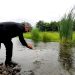 رهاسازی ۱.۲ میلیون قطعه بچهماهی سفید در تالش برای تقویت ذخایر آبزیان دریای خزر