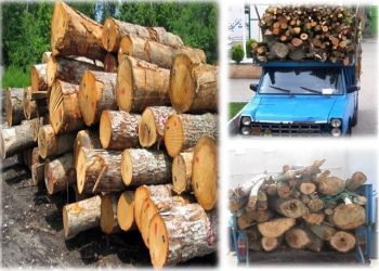 پیش‌نویس خودکار