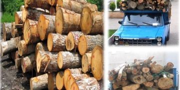 پیش‌نویس خودکار