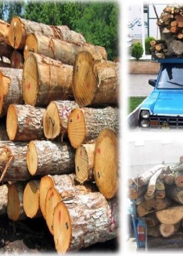 پیش‌نویس خودکار
