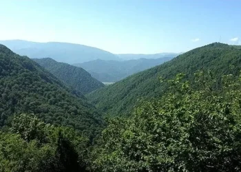 ۴ جوان گمشده در جنگل‌های تالش پیدا شدند