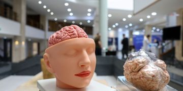 پیش‌نویس خودکار